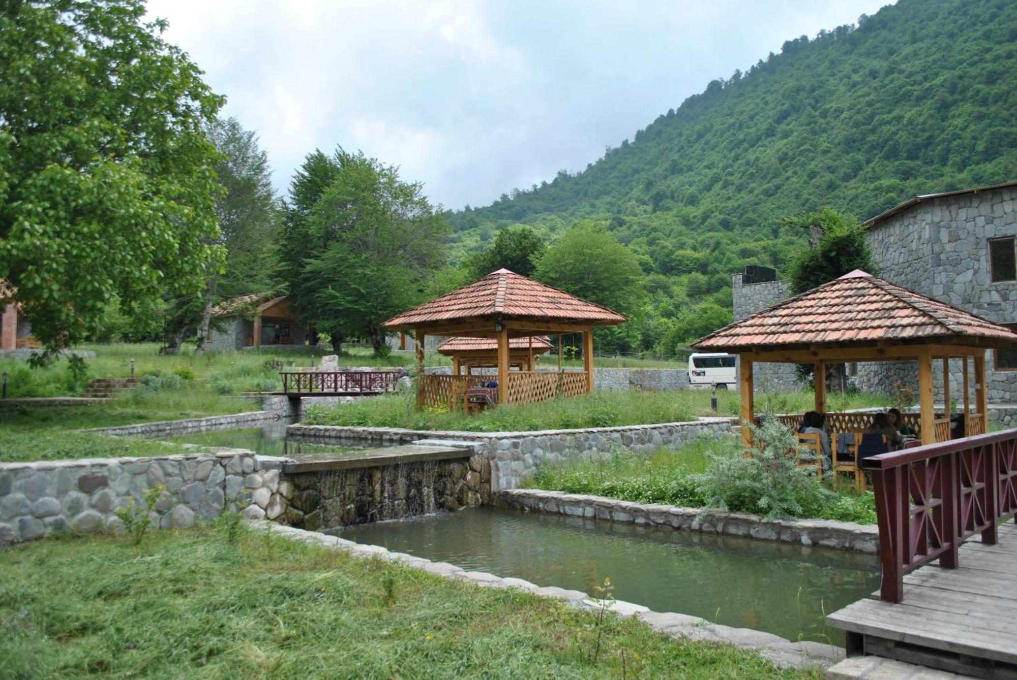 ホテルTalistan Forest Park エクステリア 写真