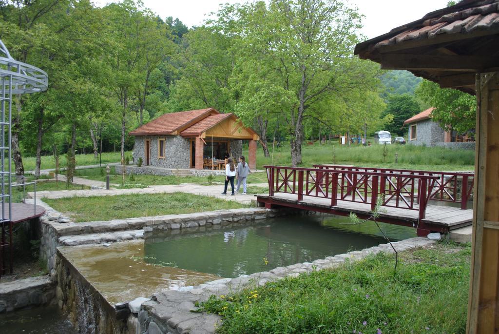 ホテルTalistan Forest Park エクステリア 写真