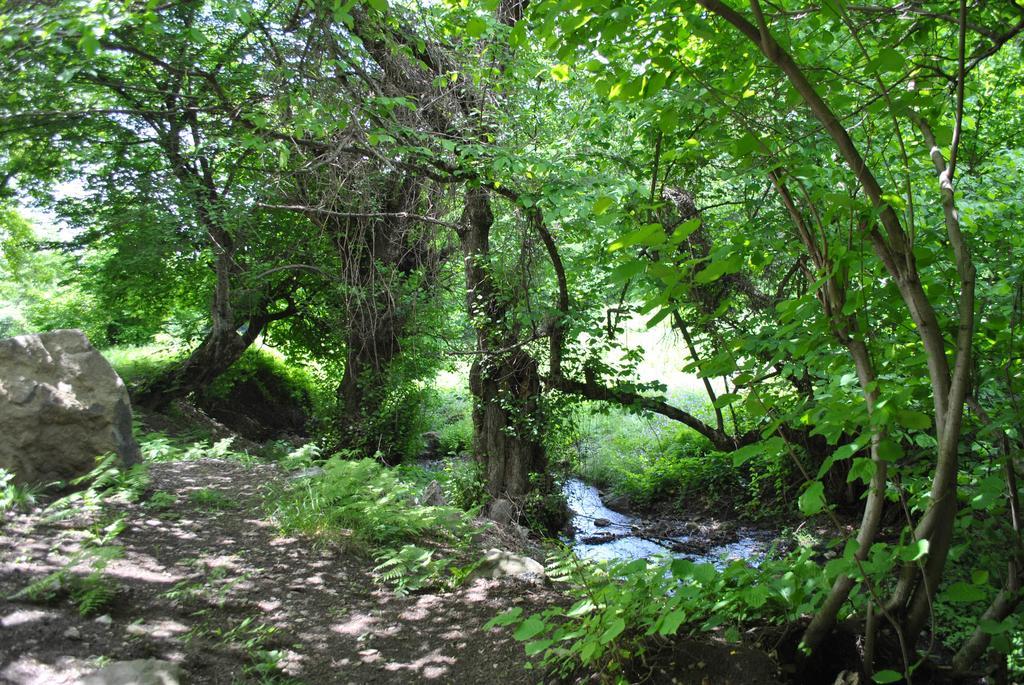 ホテルTalistan Forest Park エクステリア 写真