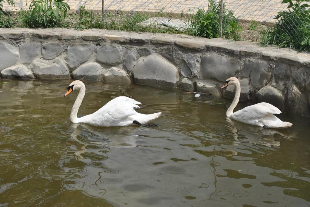 ホテルTalistan Forest Park エクステリア 写真