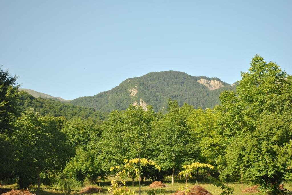 ホテルTalistan Forest Park エクステリア 写真