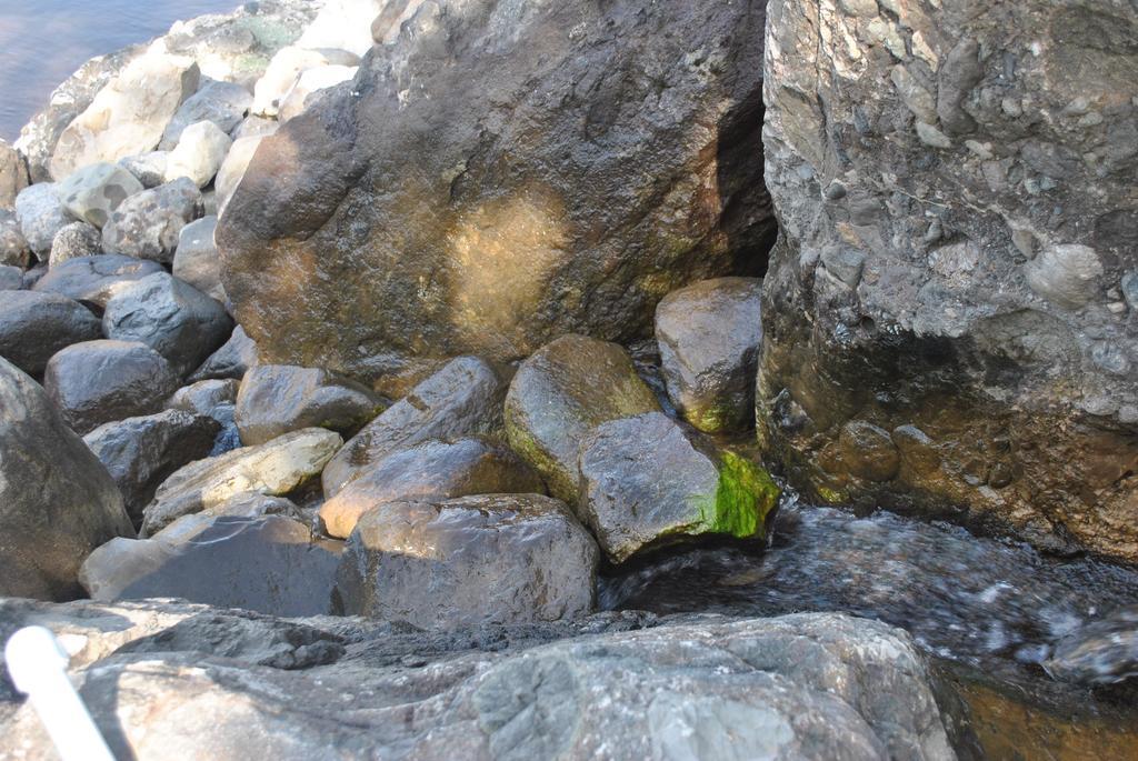 ホテルTalistan Forest Park エクステリア 写真