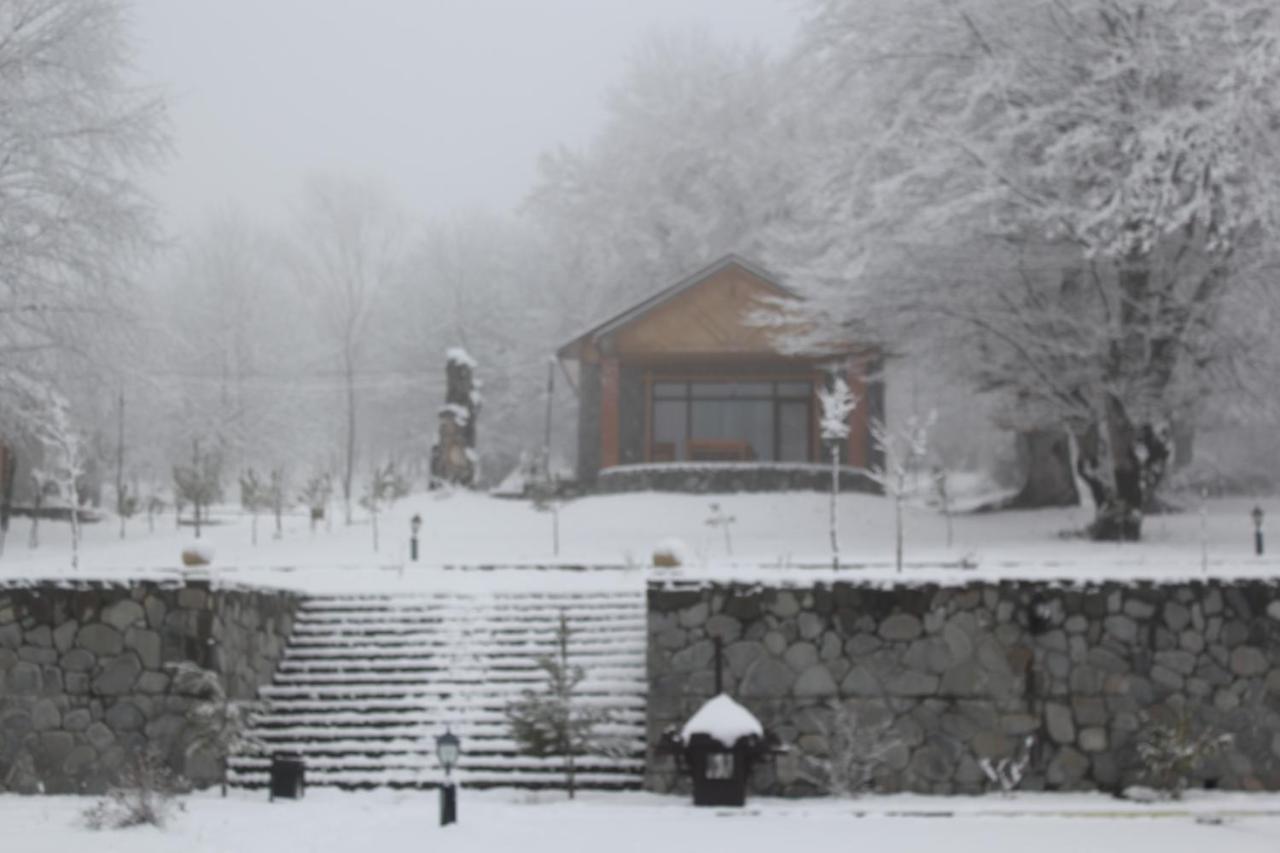 ホテルTalistan Forest Park エクステリア 写真