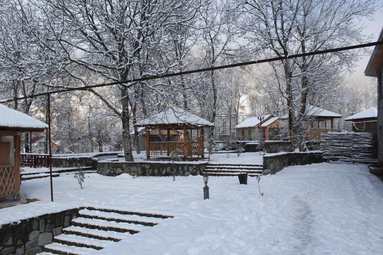 ホテルTalistan Forest Park エクステリア 写真