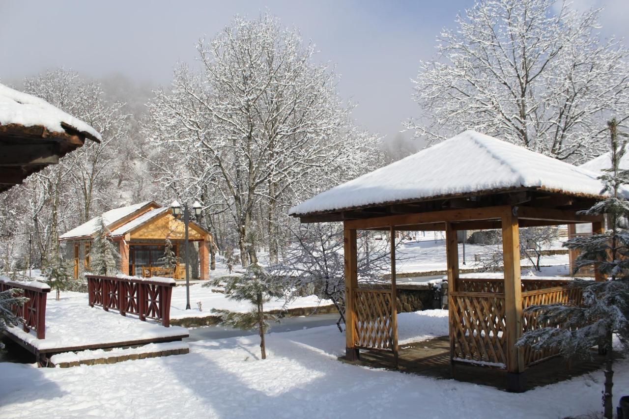 ホテルTalistan Forest Park エクステリア 写真